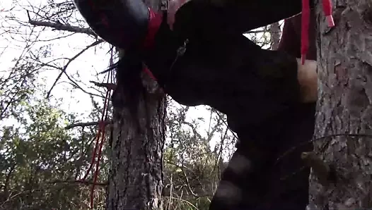 Ormanda açık havada seks. seksi kıyafetler ve yüksek topuklu ayakkabılar giymek