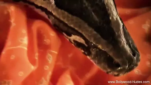 Hissetmek için erotik bollywood gecesini hissetmek