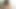 Junge Asiatin auf der deutschen Porno couch