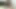 Vücut kılı fetişi. Kıllı koltuk altları ve amcıklı bir güzellikten hassas video.