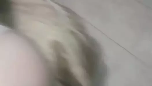 la zorrita de andrea