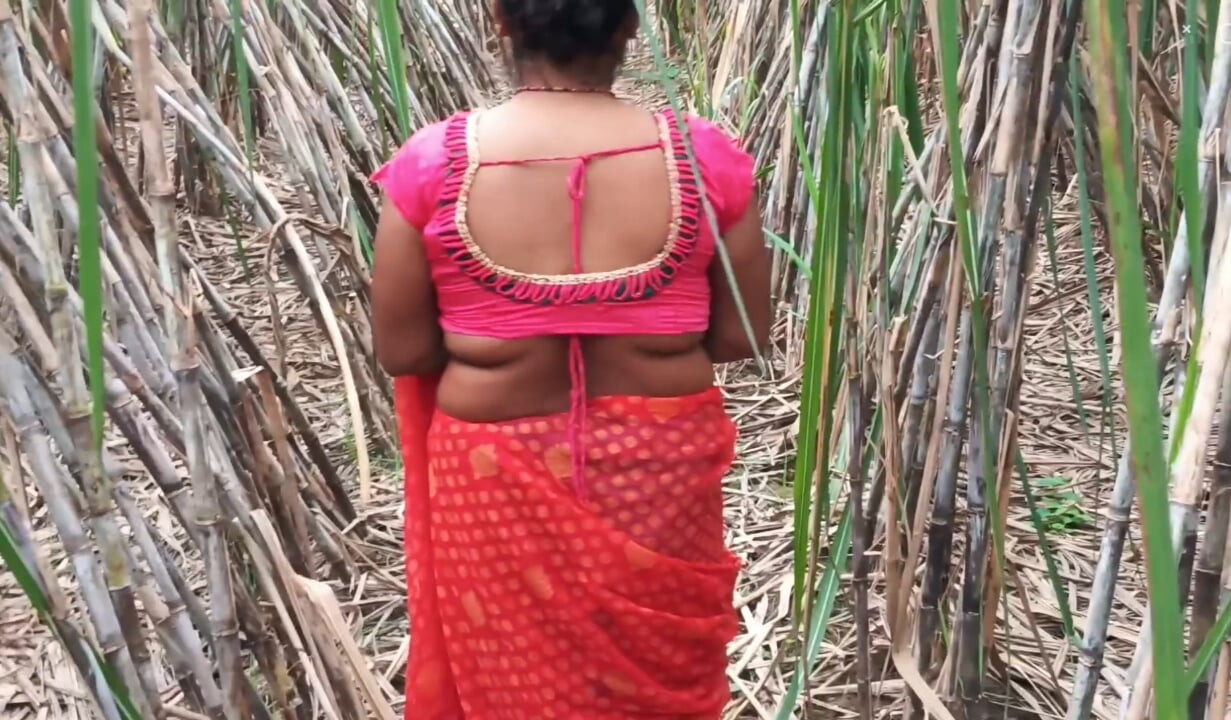Üvey annem ve ben sugarcane field me desi köy videosu samastar. Com