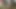 Evli kadın sokakta külotsuz yürüyor