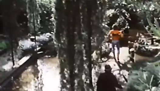 Çeşitli şans cinsel buluşmalar