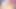 Hishi Miracle & Dantsu Flame Uma Musume foursome