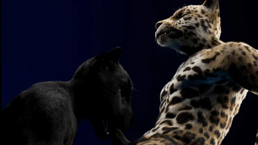 Bir kıllı derinden emiliyor ve pençesi bitiyor