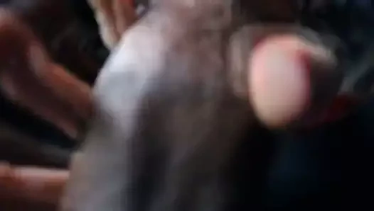 güzel kız emme büyük siyah horoz