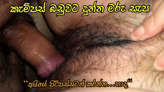 Üniversite kampüsü sinhala seks 18+ klip – sri lankalı
