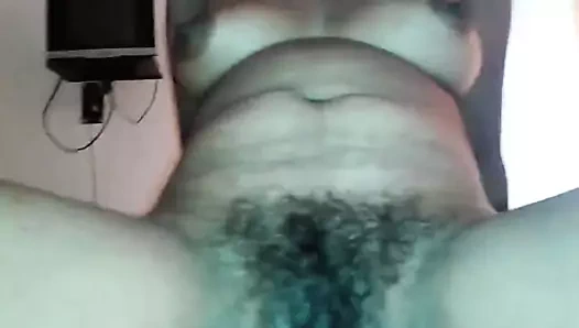 Yakın çekim bir tombul olgun kıllı hint kedi sürme