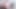 Seksi leyla lure ıslak tıraşlı amına dildo sokuyor.