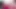 Travesti mastürbasyon yapıyor ve deri eteğinin üzerine boşalıyor - uksexylegstv