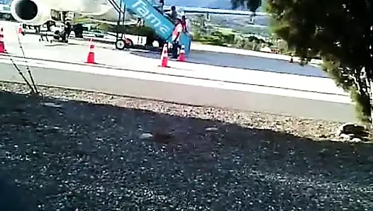 Hayranları film pornmodel alex torres at evcil havayolları loja