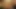 Atletik twink köpek cumming önce et solo yener