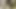 Sri Lankan Gay Sex Video
