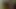 Seksi eşcinsel siyah Hardcore anal seks