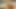 İlk porno çekimi için küçük yarağını emiyor