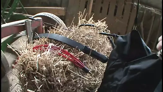 Zucht orduing 2 - 1. bölüm