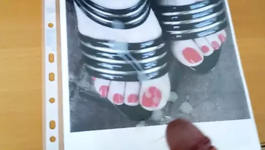 Cum haraç için sandraheels