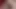 KEDİ yok