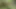 Seksi Avrupalı porno yıldızı nikky sarışın oral seks yapıyor