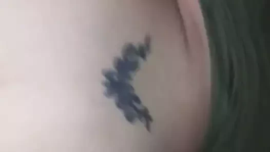 Etrafında en iyi kedi