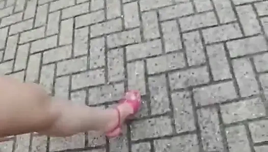 Hollandalı fanteziler: Hollandalı fantezi #96