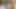 "Okumayı bırak, onun yerine sikişelim" Ders çalışmak sonunda sikişmeye ikna oldu - porno