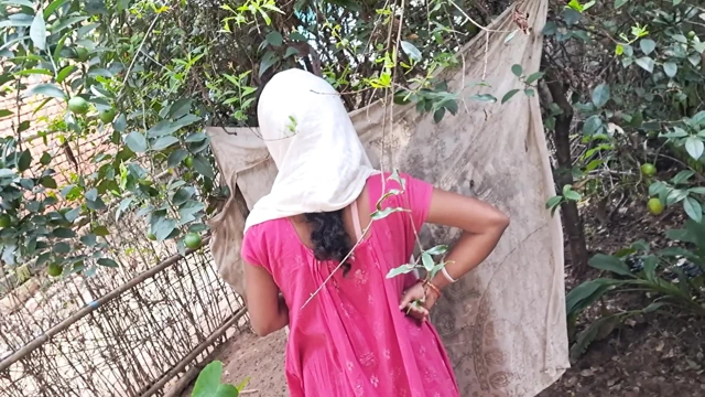 Arkadaşının karısının amcığı