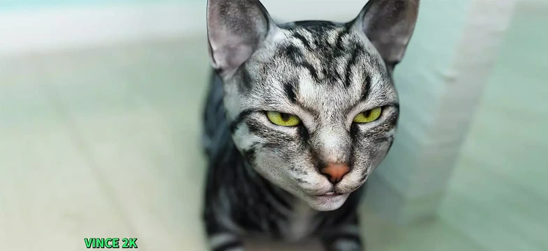 Özgür iradeye hoş geldiniz - #42 - redlady2k tarafından arabada sakso