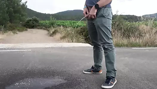 işemek üzerinde yolda