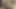 Rus kızları seksi seviyor
