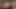 Missionary Boys - Two Boys Snuck Into The Bishop's Room And Got Horny While Snooping Into His Dildos