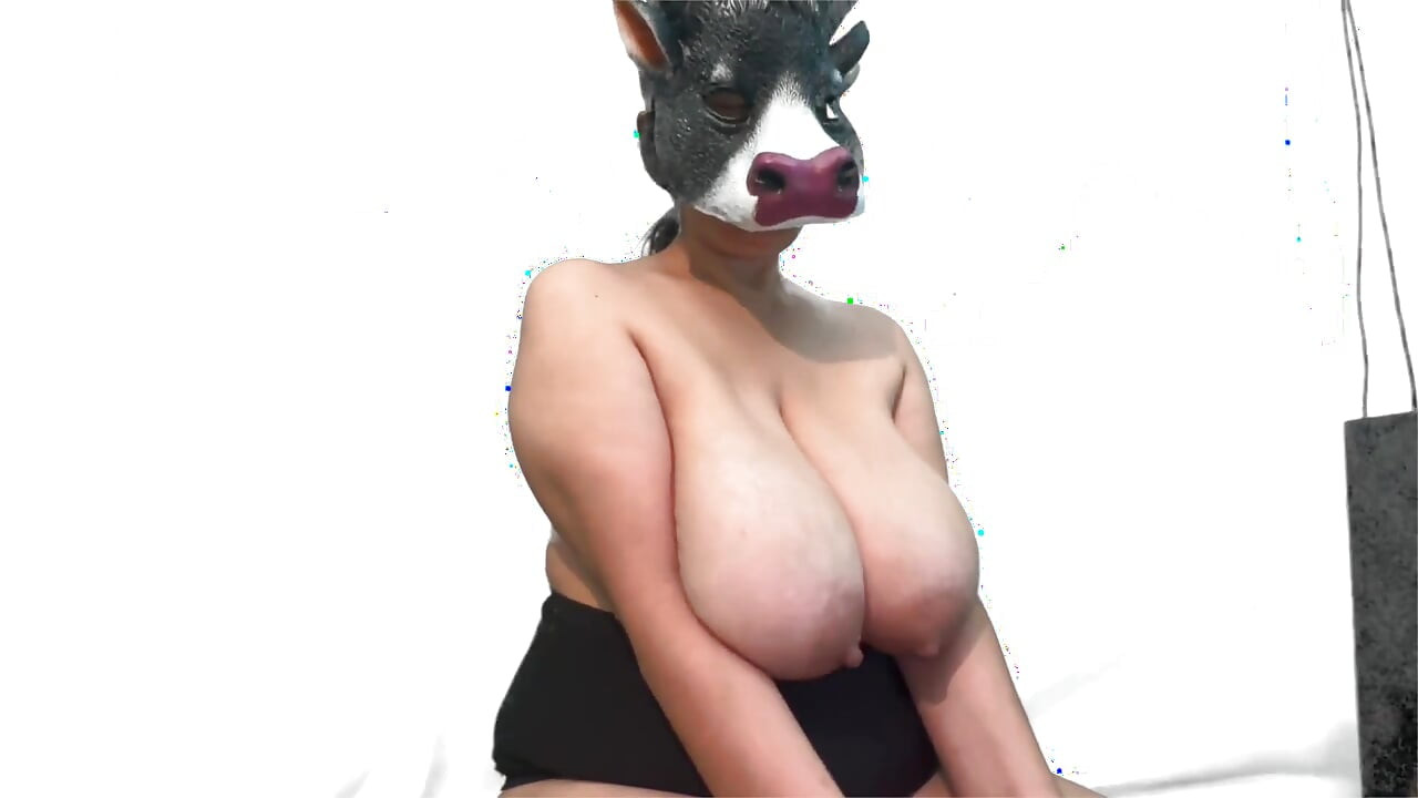 Cat Rabbit Cow
