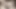 Bir öğrencinin erkek arkadaşıyla seks yaptığının videosu