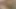 İçime girebilirsiniz ama içime boşalma! Utanmaz üvey kız kardeş amını sikmeme izin veriyor