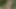 Sinnliche Selbstberührung im Garten