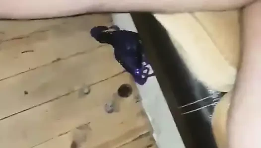 ortama bak amina koyayim