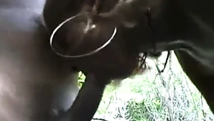 Stp5 şimdi iyi bir tatil temsilcisi diye buna derim!