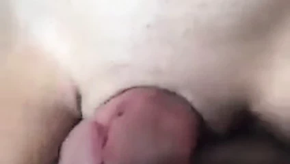 Kız arkadaş sürtme ona kedi üzerinde benim penis