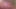 Asyalı melek 14327