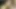 Step Father's Day. Stepdad fucks his stepdaughter,  and ends up cumming inside her when her cuckold mother is not at home