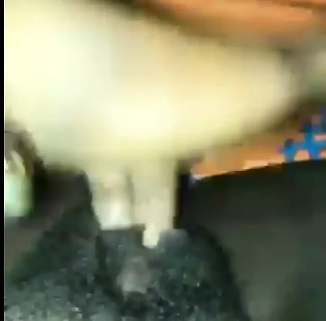 Afrikalı yaramaz kız boşalan kadar kendini parmaklıyor.