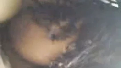 36 i kupası var lanet olsun