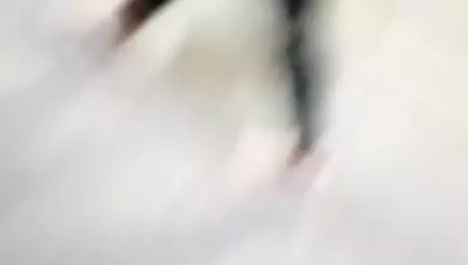 Taytlı iki siyah kadın (devam)