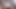 Projektcz Blanche Pornocasting