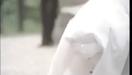 was nonnen machen in die zonne