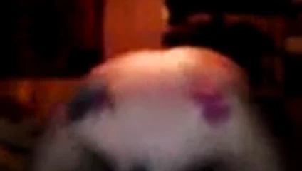 Bu süper seksi amatör tombul bir tane daha