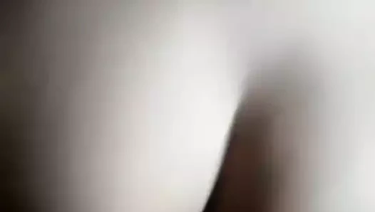 Vecianas gauchitas 5 papatya