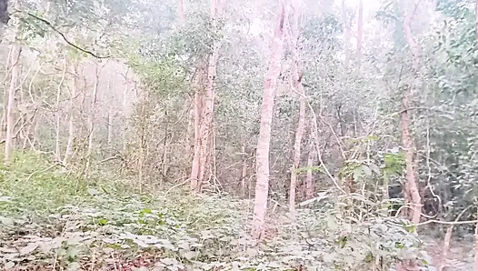 Hintli açık havada ormanda seks