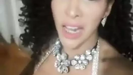 GERV2 - elvira palomino 3rr